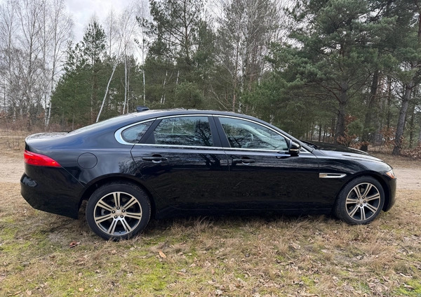 Jaguar XF cena 86900 przebieg: 112243, rok produkcji 2018 z Piła małe 407